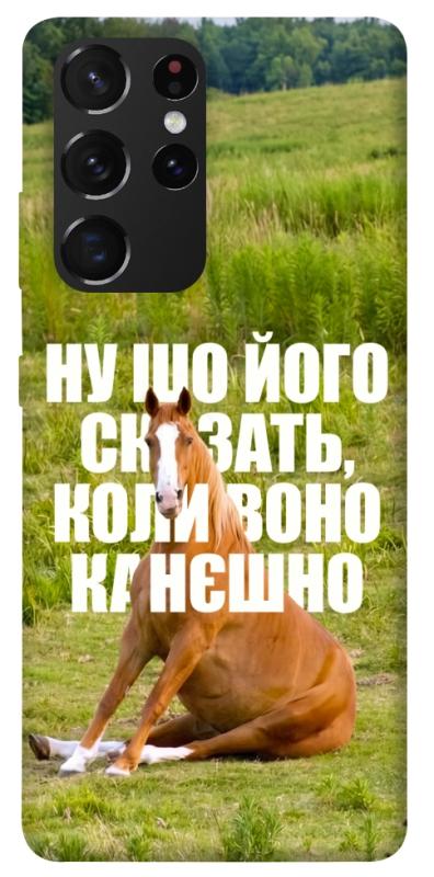 Чохол itsPrint Horse sitting для Samsung Galaxy S21 Ultra, меми, купити оптом з доставкою