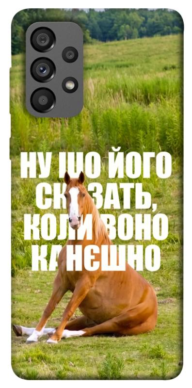 Чохол itsPrint Horse sitting для Samsung Galaxy A73 5G, меми, купити оптом з доставкою