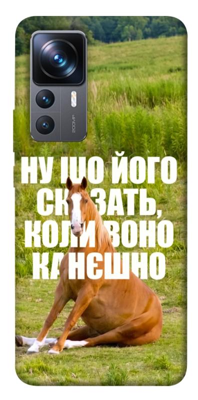 Чохол itsPrint Horse sitting для Xiaomi 12T / 12T Pro, меми, купити оптом з доставкою