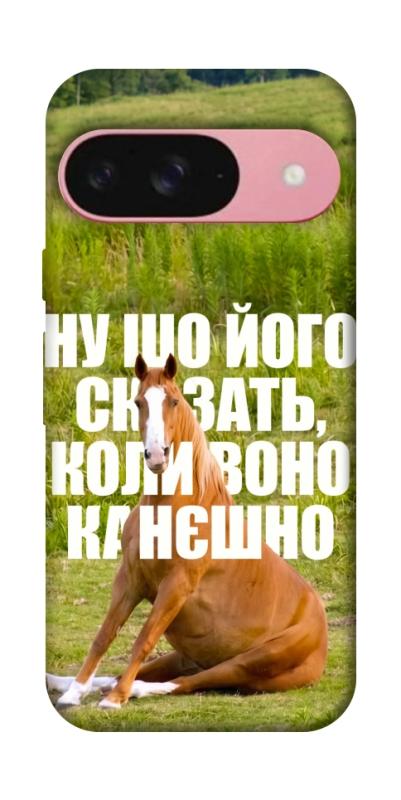 Чохол itsPrint Horse sitting для Google Pixel 9, меми, купити оптом з доставкою
