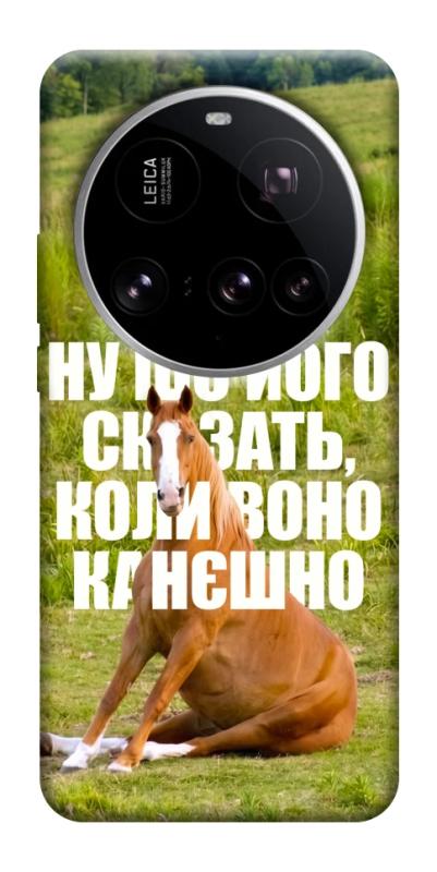 Чохол itsPrint Horse sitting для Xiaomi 15 Ultra, меми, купити оптом з доставкою