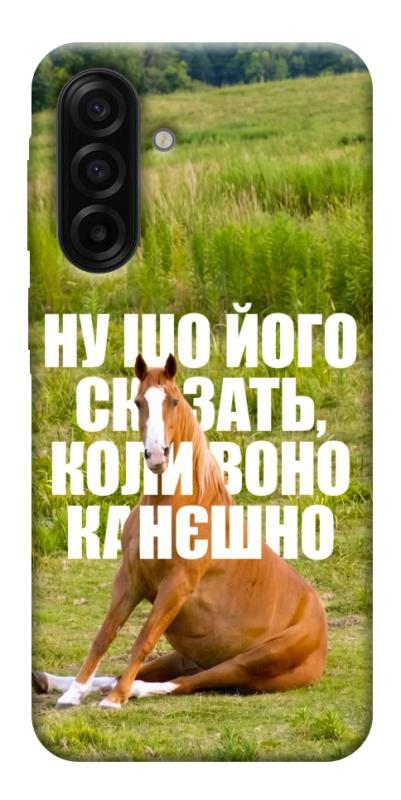 Чохол itsPrint Horse sitting для Samsung Galaxy A17 5G/4G, меми, купити оптом з доставкою