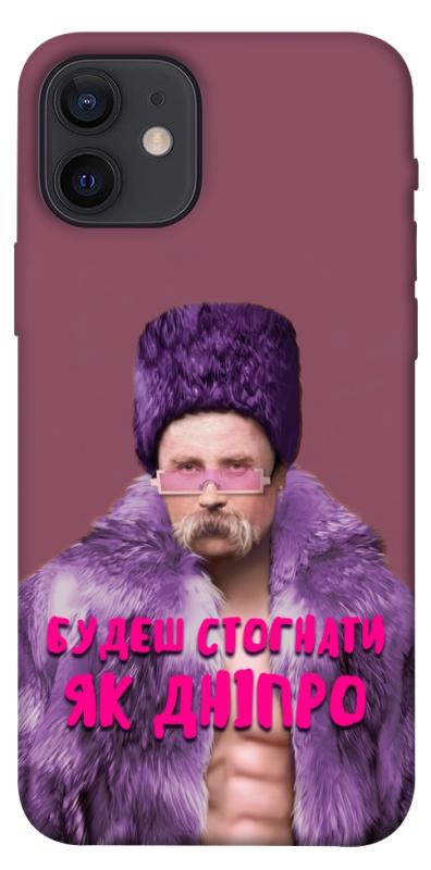Чехол itsPrint Шевченко–Дніпро для Apple iPhone 12 Pro (6.1"), love ukraine, купить оптом с доставкой