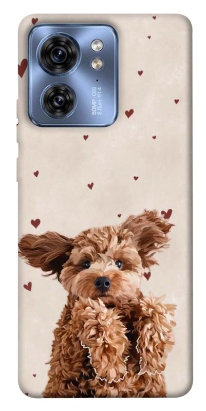 Чехол itsPrint Сute doggy для Motorola Edge 40, песики, купить оптом с доставкой