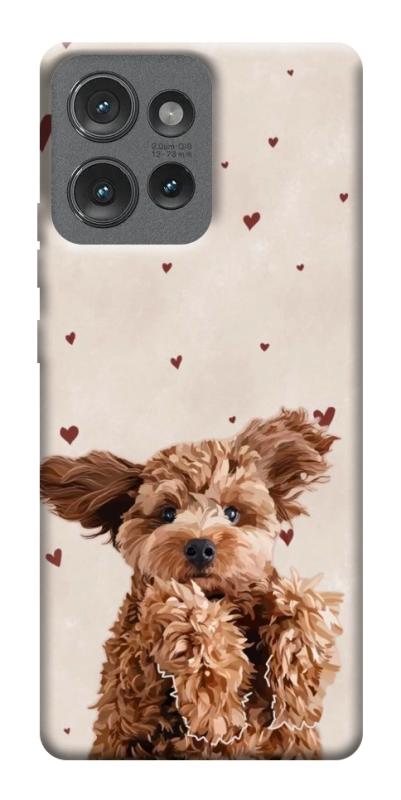 Чехол itsPrint Сute doggy для Motorola Edge 50, песики, купить оптом с доставкой