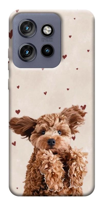 Чохол itsPrint Сute doggy для Motorola Edge 50 Neo, песики, купити оптом з доставкою