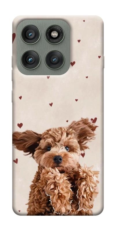 Чохол itsPrint Сute doggy для Motorola Edge 60 Pro, песики, купити оптом з доставкою
