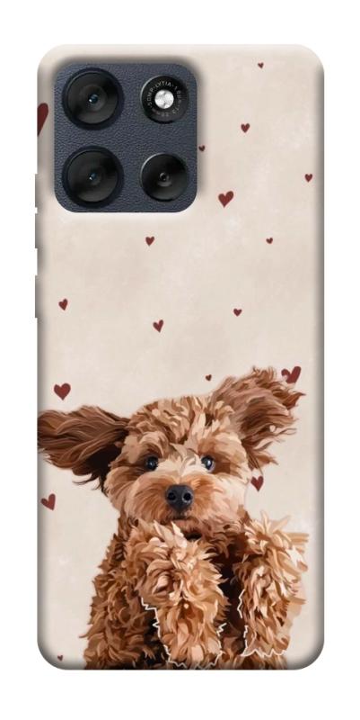 Чехол itsPrint Сute doggy для Motorola Moto G56 5G, песики, купить оптом с доставкой