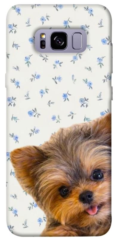 Чохол itsPrint Cute Yorkie для Samsung G955 Galaxy S8 Plus, песики, купити оптом з доставкою