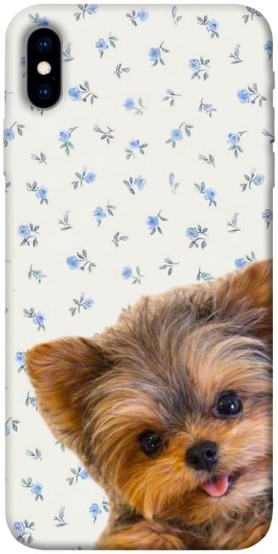 Чохол itsPrint Cute Yorkie для Apple iPhone X (5.8"), песики, купити оптом з доставкою