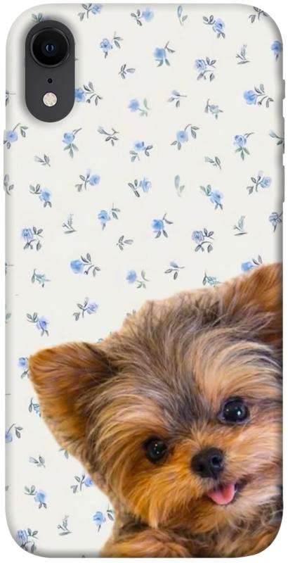Чохол itsPrint Cute Yorkie для Apple iPhone XR (6.1"), песики, купити оптом з доставкою