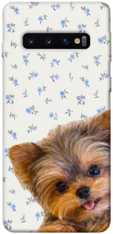 Чохол itsPrint Cute Yorkie для Samsung Galaxy S10, песики, купити оптом з доставкою