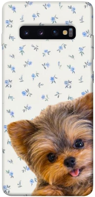 Чохол itsPrint Cute Yorkie для Samsung Galaxy S10+, песики, купити оптом з доставкою