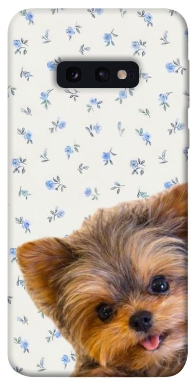 Чохол itsPrint Cute Yorkie для Samsung Galaxy S10e, песики, купити оптом з доставкою