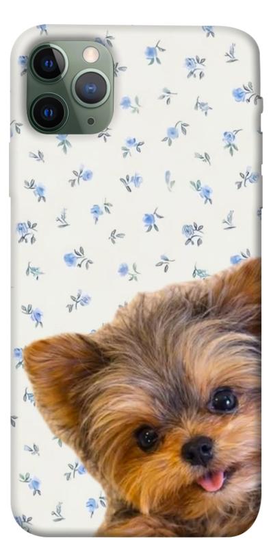 Чохол itsPrint Cute Yorkie для Apple iPhone 11 Pro Max (6.5"), песики, купити оптом з доставкою