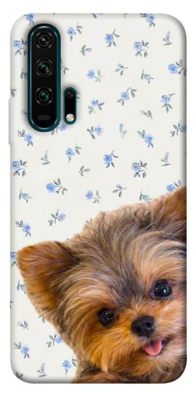 Чохол itsPrint Cute Yorkie для Huawei Honor 20 Pro, песики, купити оптом з доставкою
