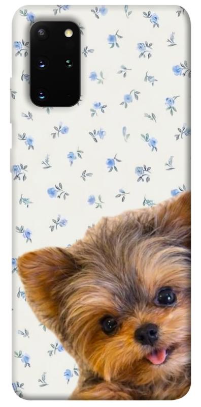 Чехол itsPrint Cute Yorkie для Samsung Galaxy S20+, песики, купить оптом с доставкой
