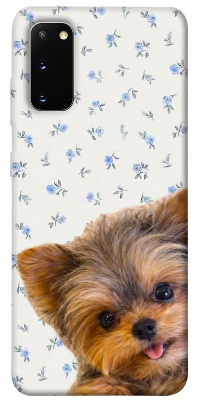 Чохол itsPrint Cute Yorkie для Samsung Galaxy S20, песики, купити оптом з доставкою