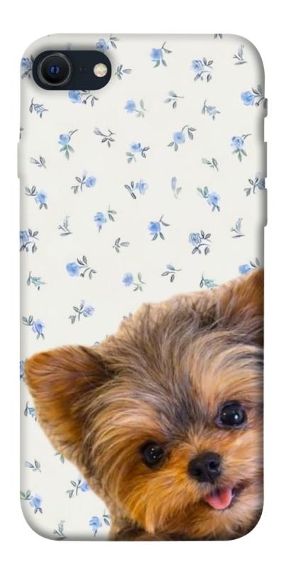 Чохол itsPrint Cute Yorkie для Apple iPhone SE (2020), песики, купити оптом з доставкою