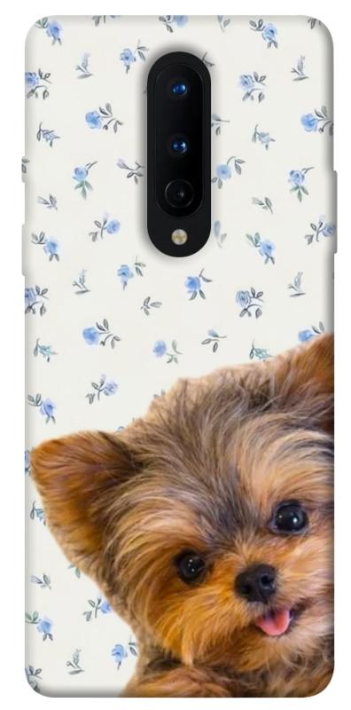 Чохол itsPrint Cute Yorkie для OnePlus 8, песики, купити оптом з доставкою