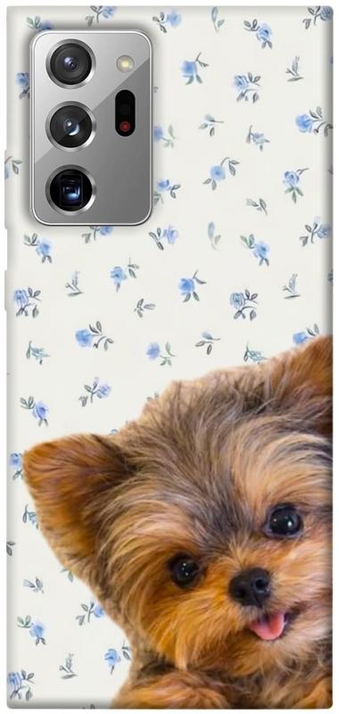 Чохол itsPrint Cute Yorkie для Samsung Galaxy Note 20 Ultra, песики, купити оптом з доставкою
