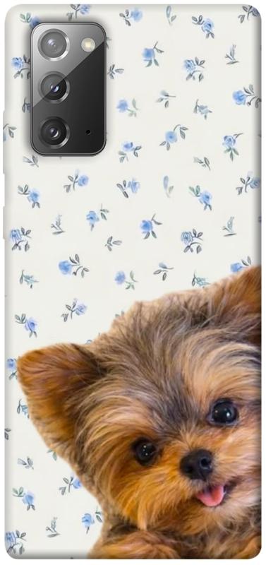 Чохол itsPrint Cute Yorkie для Samsung Galaxy Note 20, песики, купити оптом з доставкою