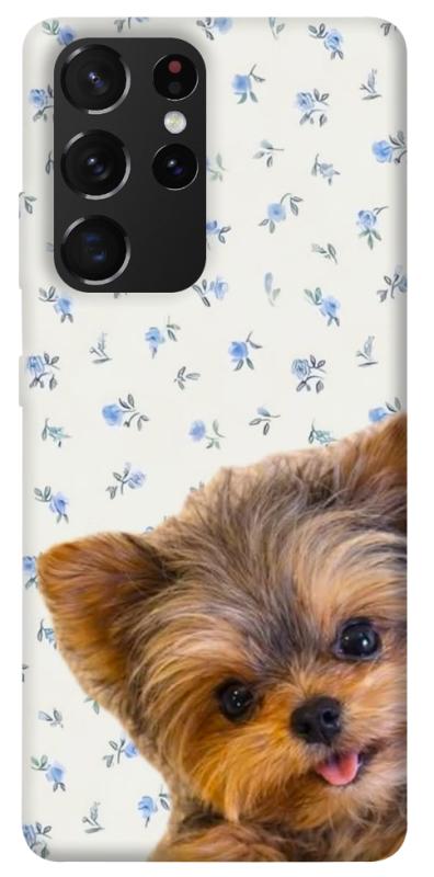 Чохол itsPrint Cute Yorkie для Samsung Galaxy S21 Ultra, песики, купити оптом з доставкою