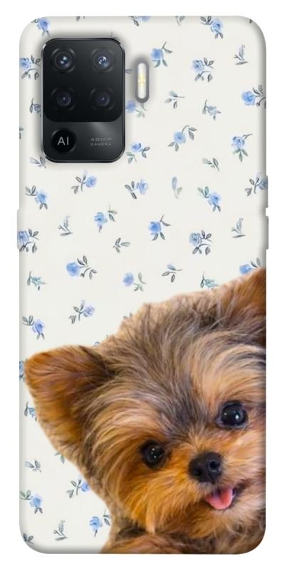Чохол itsPrint Cute Yorkie для Oppo Reno 5 Lite, песики, купити оптом з доставкою