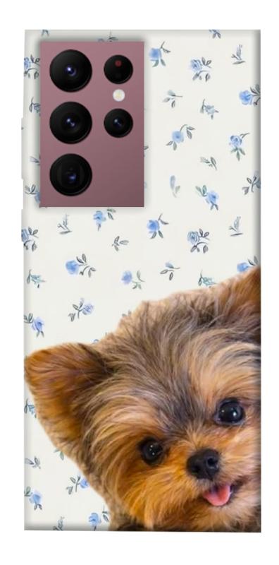 Чохол itsPrint Cute Yorkie для Samsung Galaxy S22 Ultra, песики, купити оптом з доставкою