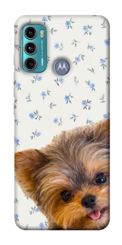 Чехол itsPrint Cute Yorkie для Motorola Moto G60, песики, купить оптом с доставкой
