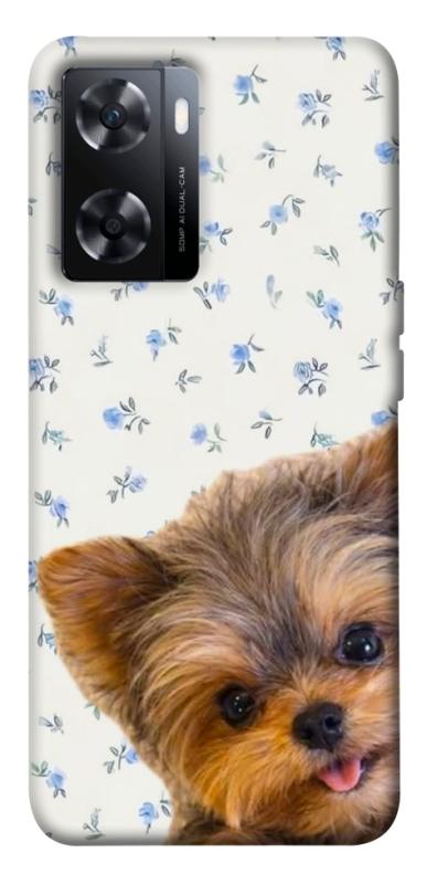 Чехол itsPrint Cute Yorkie для OnePlus Nord N20 SE, песики, купить оптом с доставкой