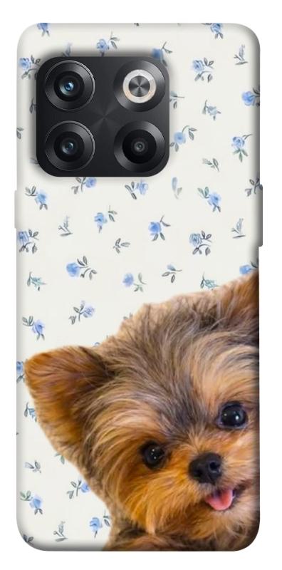 Чехол itsPrint Cute Yorkie для OnePlus 10T, песики, купить оптом с доставкой