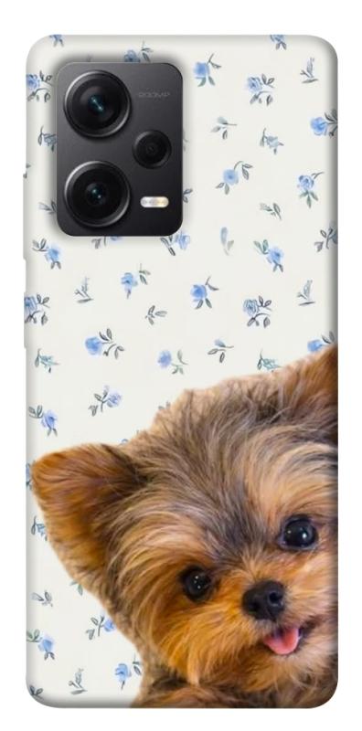 Чохол itsPrint Cute Yorkie для Xiaomi Redmi Note 12 Pro+ 5G, песики, купити оптом з доставкою