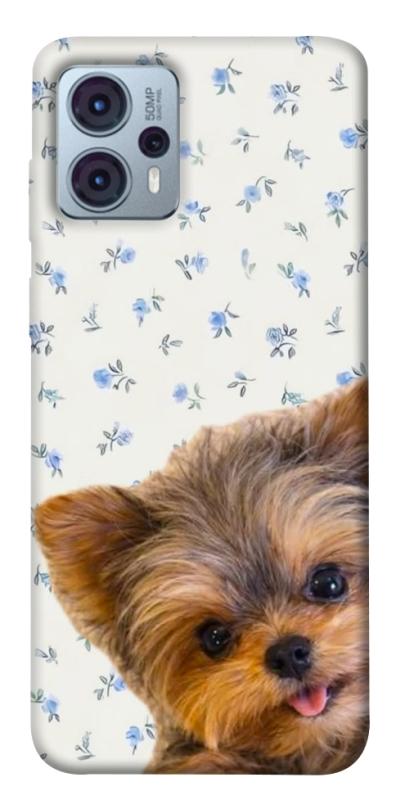 Чехол itsPrint Cute Yorkie для Motorola Moto G23, песики, купить оптом с доставкой