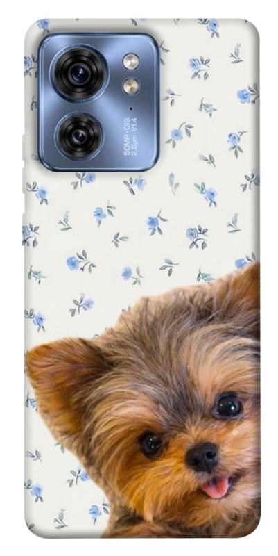 Чехол itsPrint Cute Yorkie для Motorola Edge 40, песики, купить оптом с доставкой