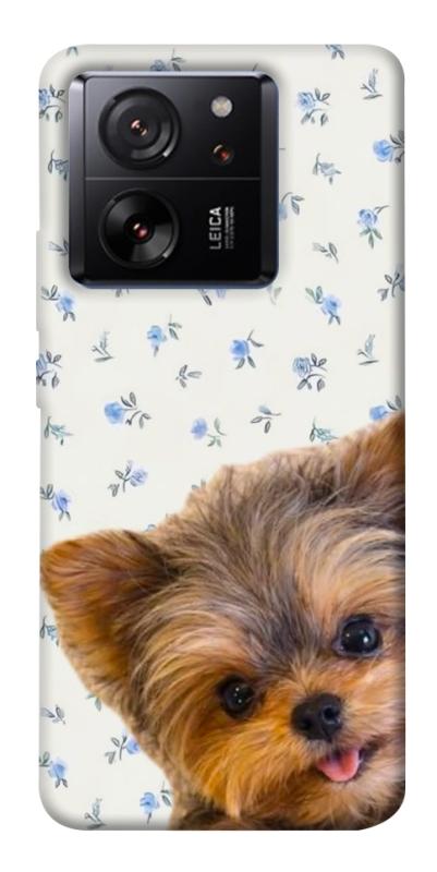 Чохол itsPrint Cute Yorkie для Xiaomi 13T, песики, купити оптом з доставкою