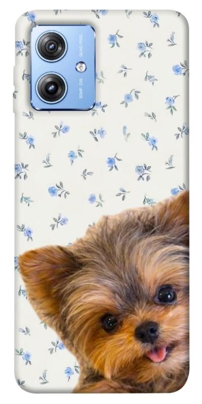 Чехол itsPrint Cute Yorkie для Motorola Moto G84, песики, купить оптом с доставкой