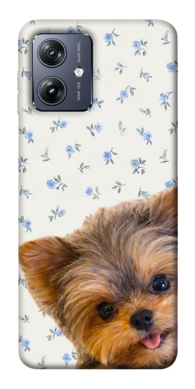 Чехол itsPrint Cute Yorkie для Motorola Moto G54, песики, купить оптом с доставкой