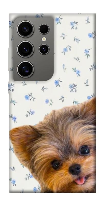 Чохол itsPrint Cute Yorkie для Samsung Galaxy S24 Ultra, песики, купити оптом з доставкою