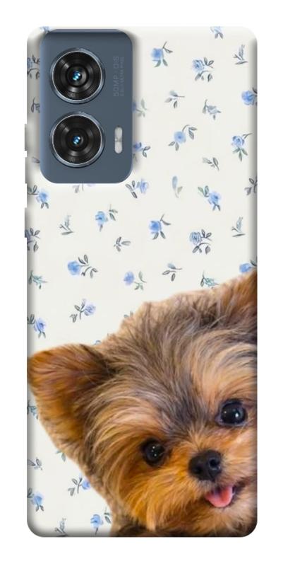 Чехол itsPrint Cute Yorkie для Motorola Edge 50 Fusion, песики, купить оптом с доставкой