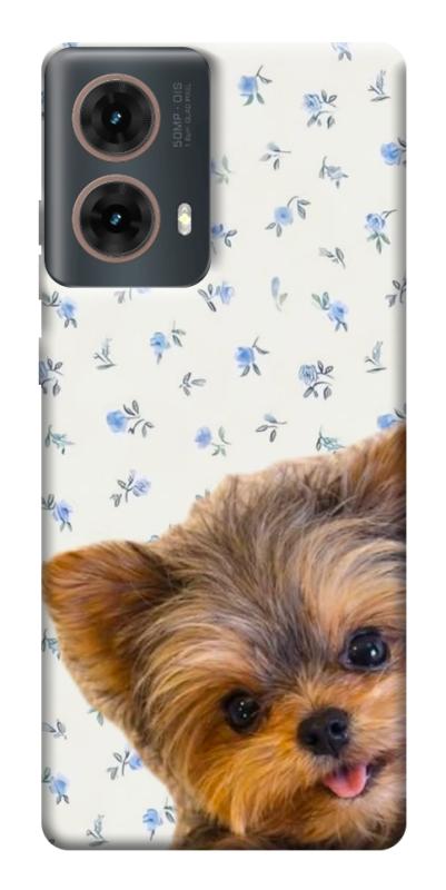 Чохол itsPrint Cute Yorkie для Motorola Moto G85, песики, купити оптом з доставкою