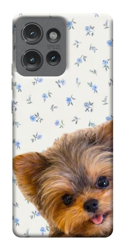 Чохол itsPrint Cute Yorkie для Motorola Edge 50, песики, купити оптом з доставкою