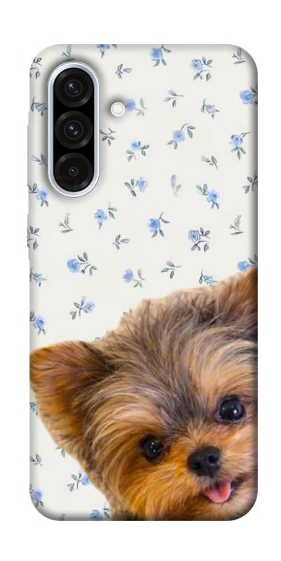 Чохол itsPrint Cute Yorkie для Samsung Galaxy A36 5G, песики, купити оптом з доставкою