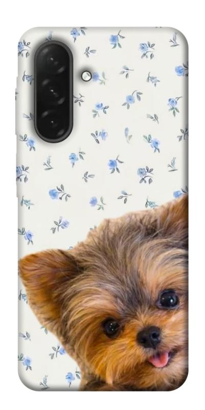 Чохол itsPrint Cute Yorkie для Samsung Galaxy A26 5G, песики, купити оптом з доставкою
