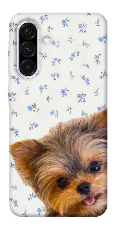 Чохол itsPrint Cute Yorkie для Samsung Galaxy A56 5G, песики, купити оптом з доставкою
