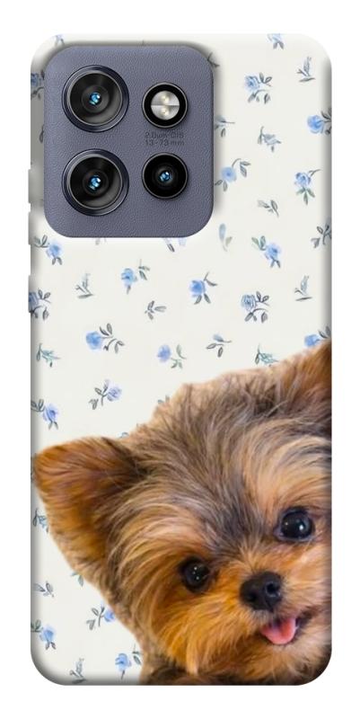Чохол itsPrint Cute Yorkie для Motorola Edge 50 Neo, песики, купити оптом з доставкою