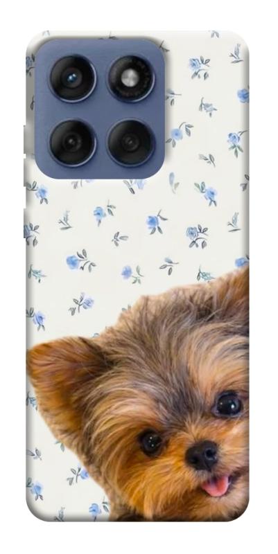 Чехол itsPrint Cute Yorkie для Motorola Edge 60 Fusion, песики, купить оптом с доставкой