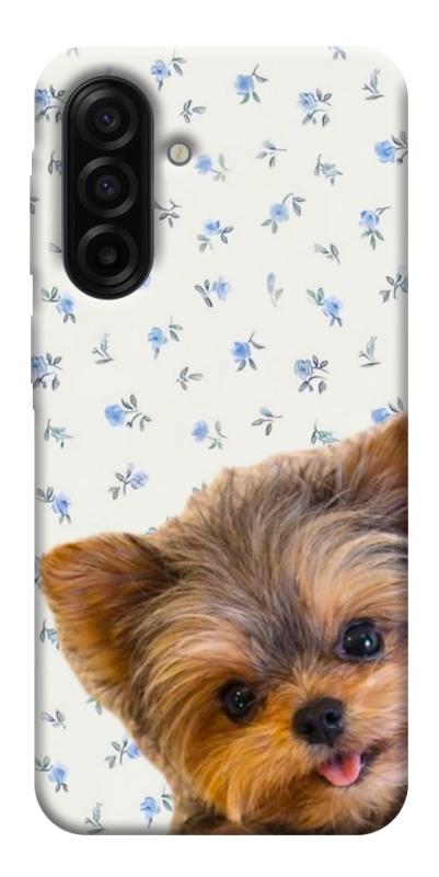 Чехол itsPrint Cute Yorkie для Samsung Galaxy A17 5G/4G, песики, купить оптом с доставкой