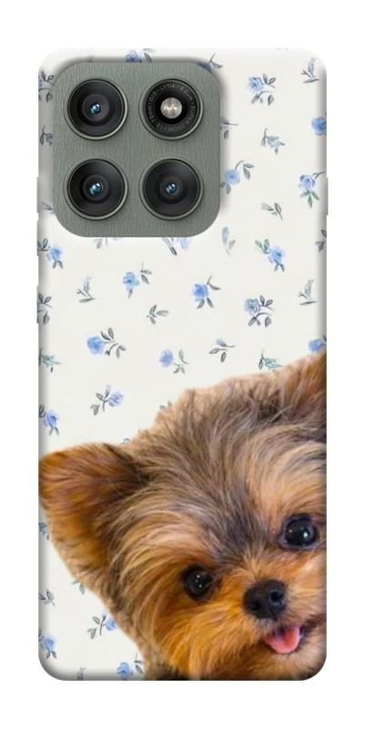 Чохол itsPrint Cute Yorkie для Motorola Edge 60 Pro, песики, купити оптом з доставкою