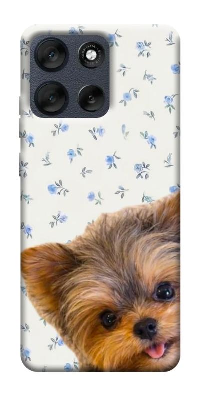 Чехол itsPrint Cute Yorkie для Motorola Moto G56 5G, песики, купить оптом с доставкой